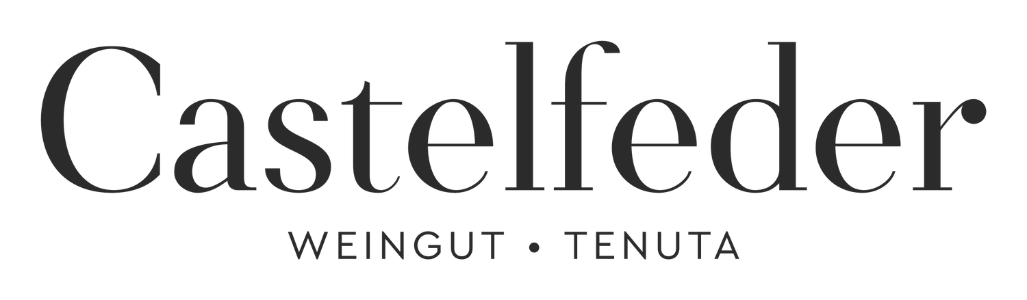Weingut Castelfeder Logo