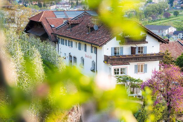 ANITA MITTERER PARDELLERHOF MONTIN 1