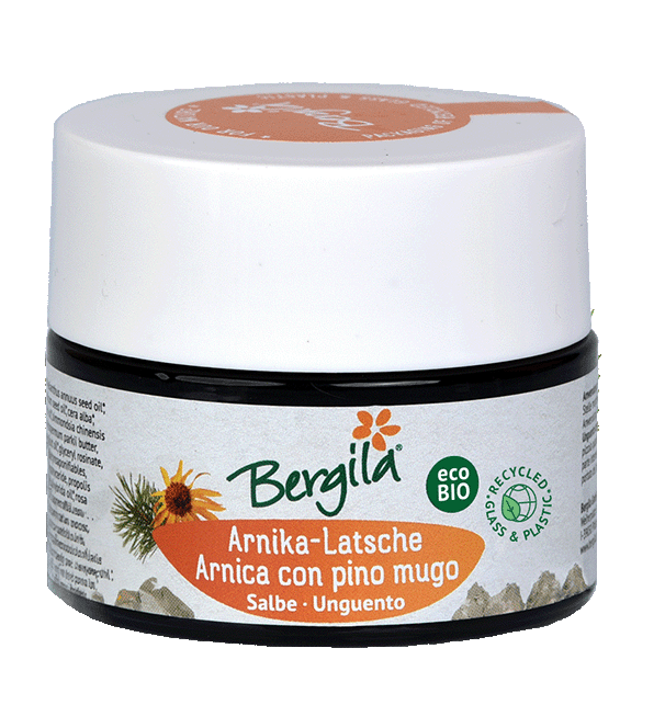 Arnika - Latsche Salbe Bio 1