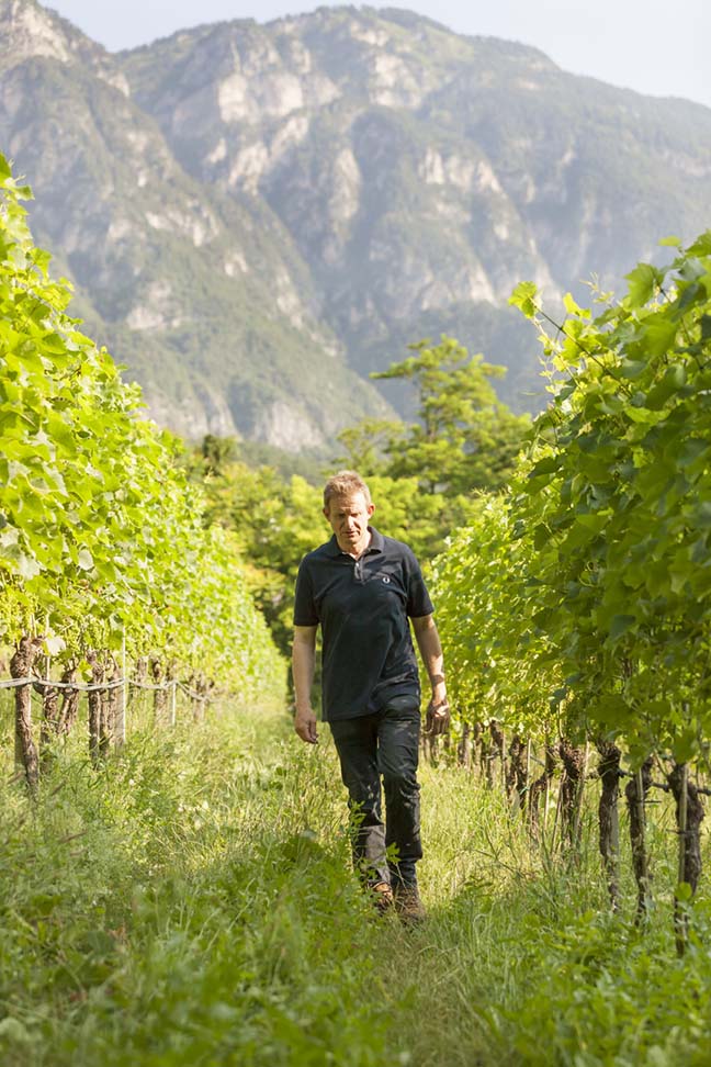 Cuvée Weiß "Baronesse"  2023 6