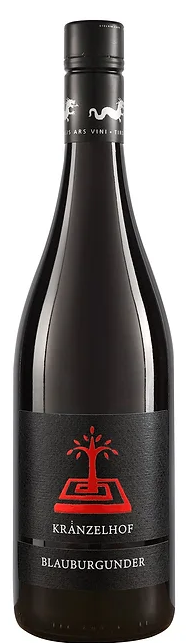 Blauburgunder  2023 1