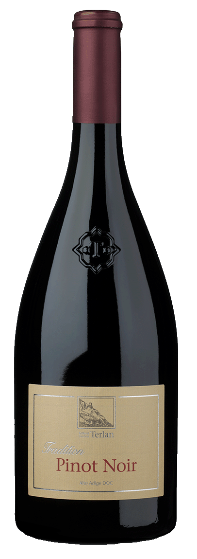 Blauburgunder 2024 1