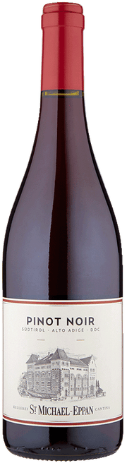 Blauburgunder 2024 1