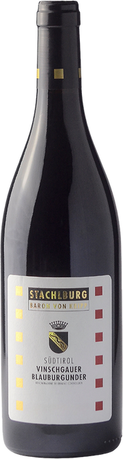 Blauburgunder Bio 2020 1