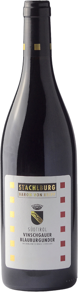 Blauburgunder Bio 2020 1