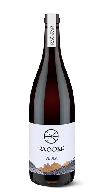 Blauburgunder „Vedla“ Bio 2020 1