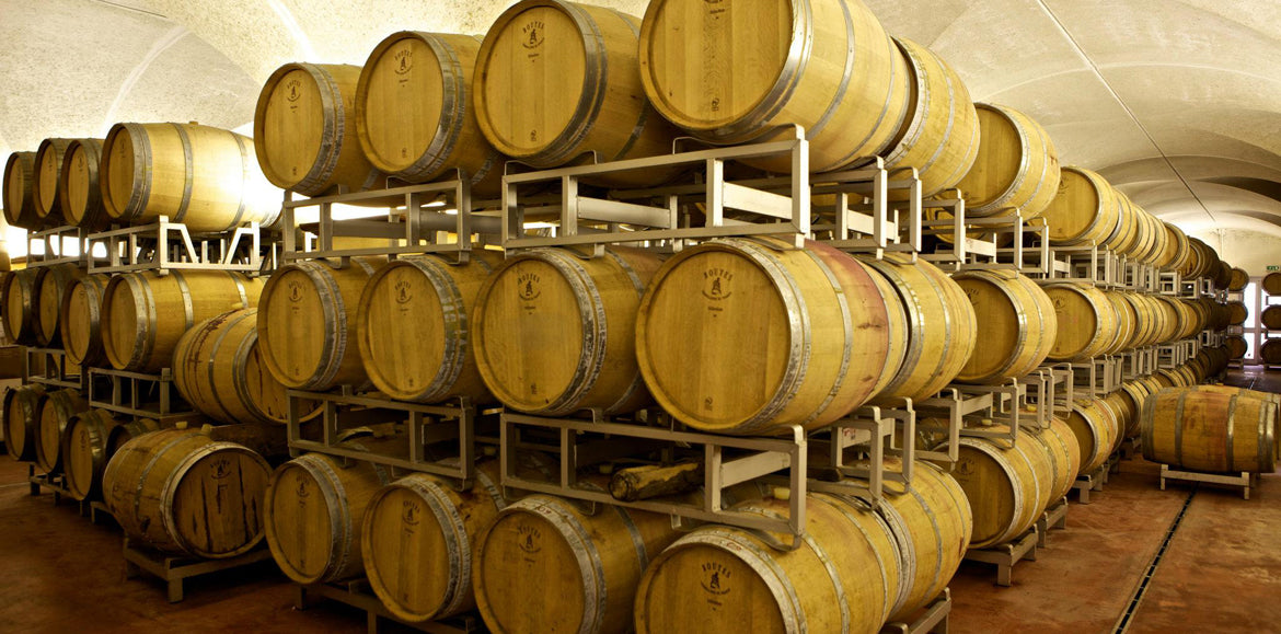 Amarone della Valpolicella Classico 2019 4