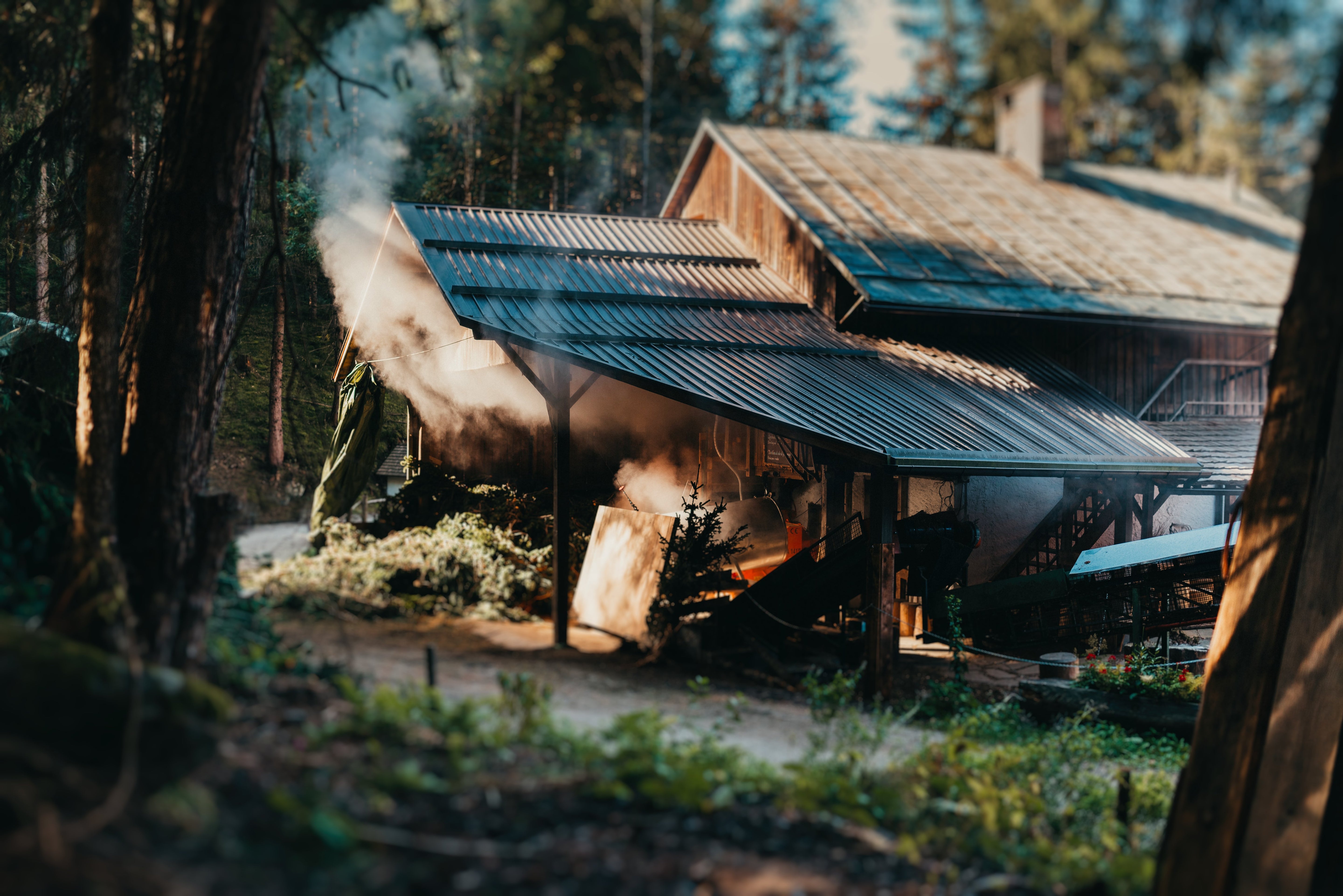 Echinacea Propolis Alkoholauszug Bio 2