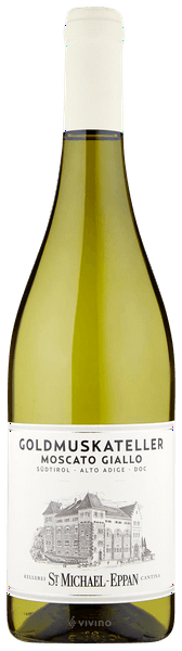 Goldmuskateller 2024 1