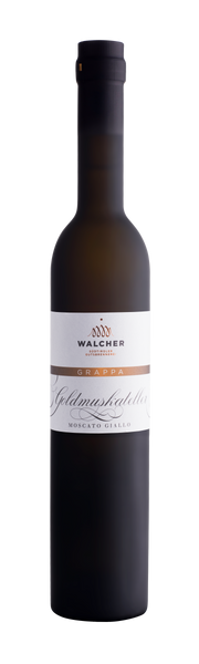 Grappa Goldmuskateller 1