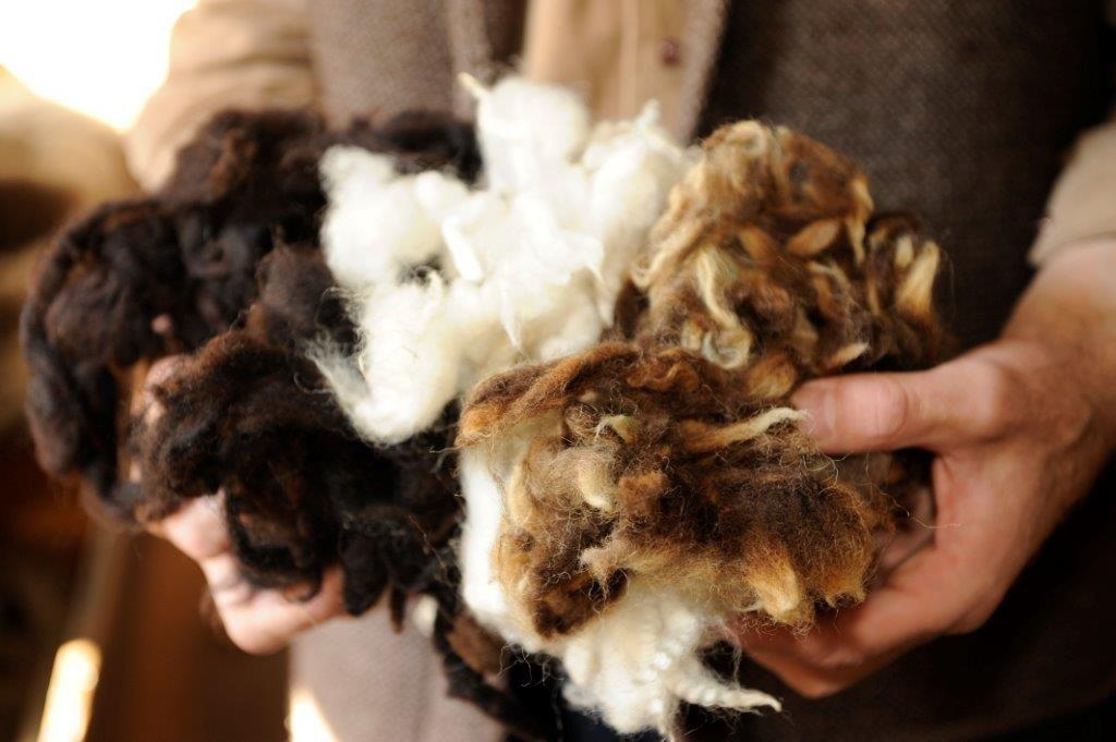 Hotel zum Rosenbaum 2