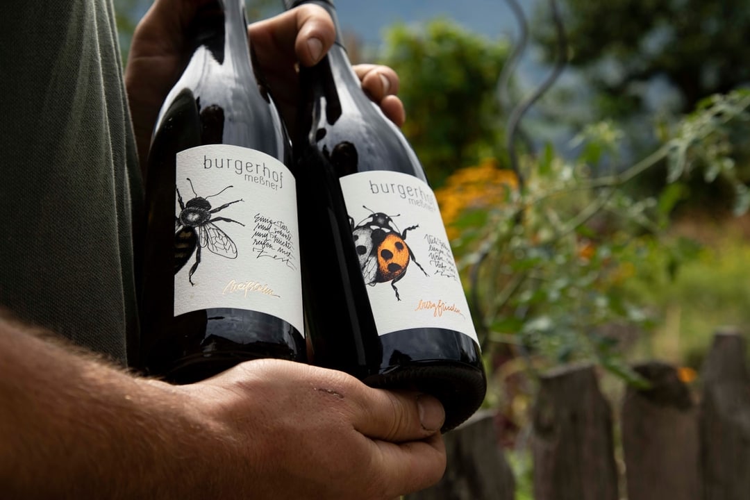 Johannes Meßner - Burgerhof 1