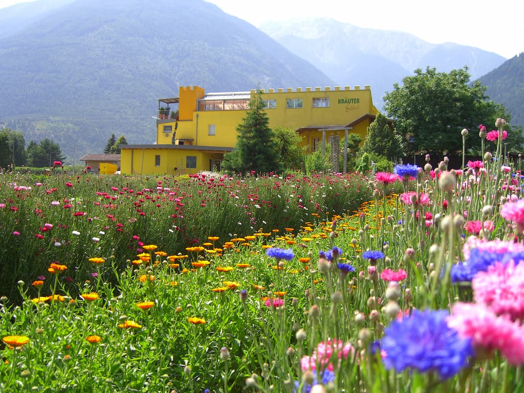 Essbare Blüten "Alps Flowers" Bio 1999 5