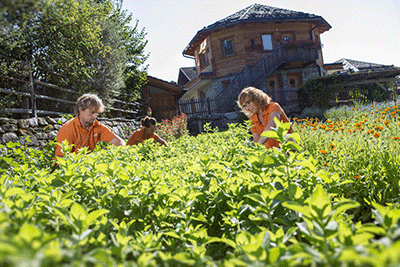 Kräuterduschbad Bio 2