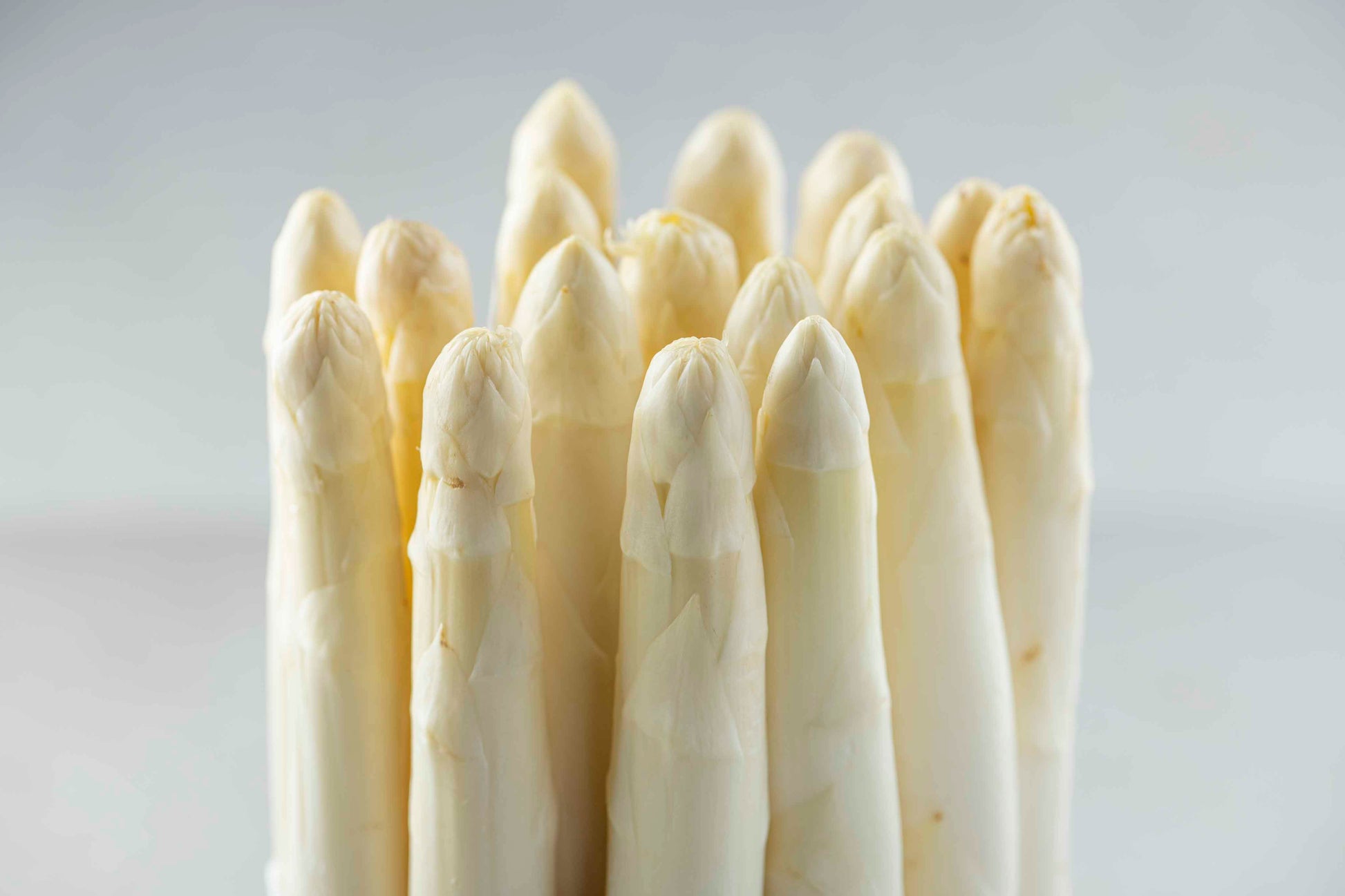 Margarete Spargel klassisch 1kg 3