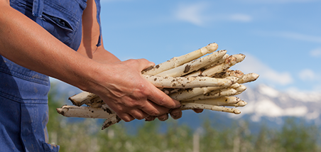 Margarete - Terlaner Spargel 5