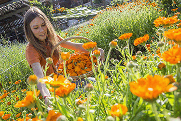 Massageöl Aktivmischung Bio 2