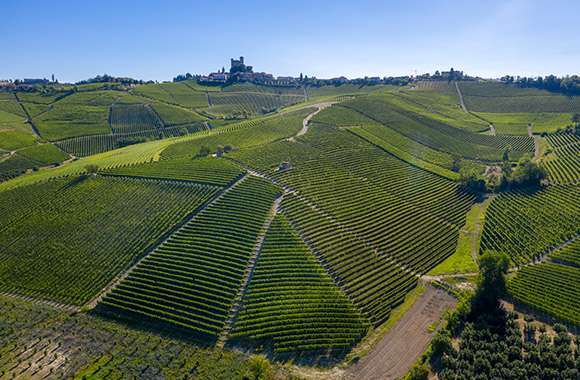 Barolo  2021 4