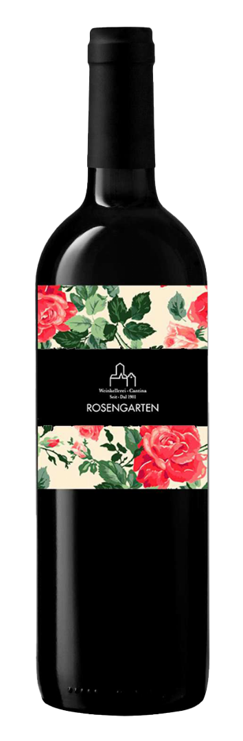 Meraner Vernatsch "Algunder Rosengarten"  2024 1