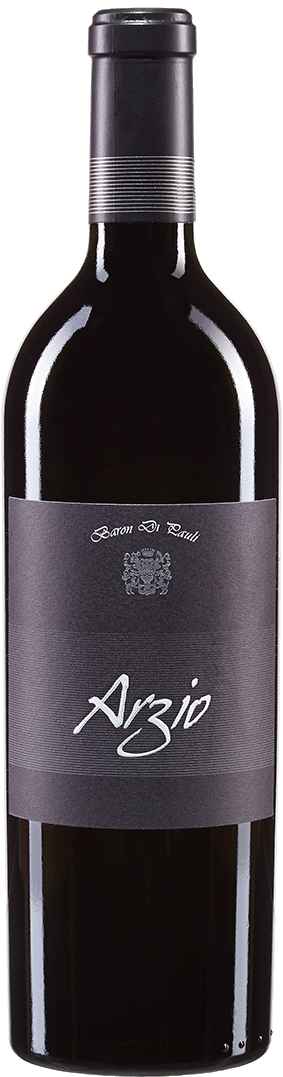 Merlot Cabernet Riserva "Arzio" 2021 1