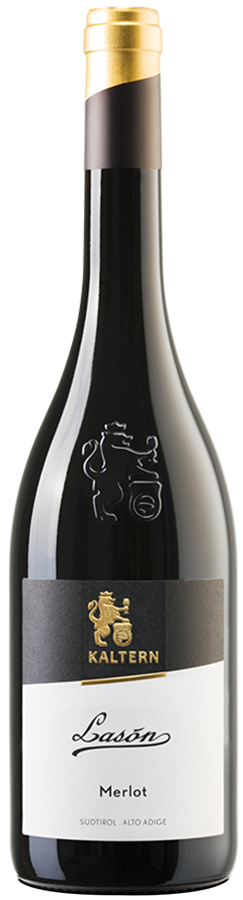 Merlot "Lasón" 2022 1