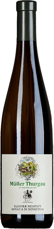 Müller Thurgau 2024 1