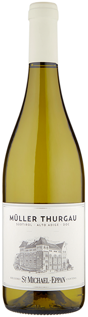 Müller Thurgau 2024 1