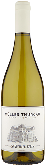 Müller Thurgau 2024 1