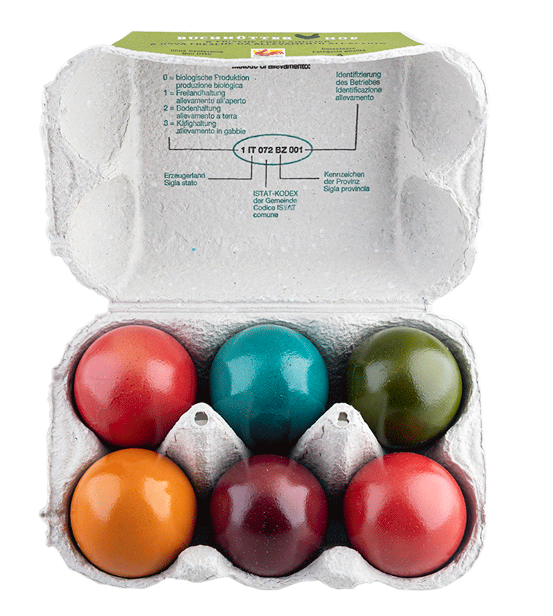 Ostereier gefärbt & gekocht 1