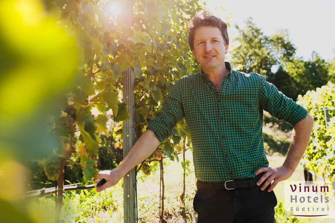 Grüner Veltliner 2023 2