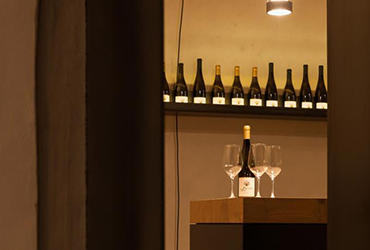 Grüner Veltliner 2023 4