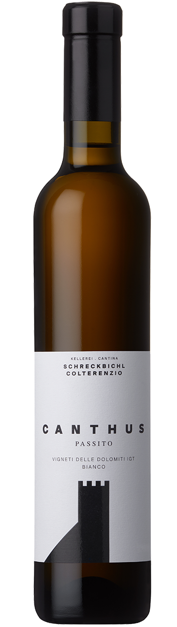 Passito "Canthus" 2023 1