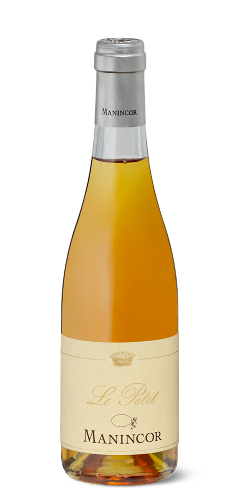 Petit Manseng "Le Petit" Bio 2023 1
