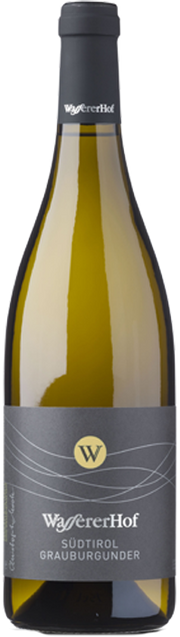 Pinot Grigio 2022 1