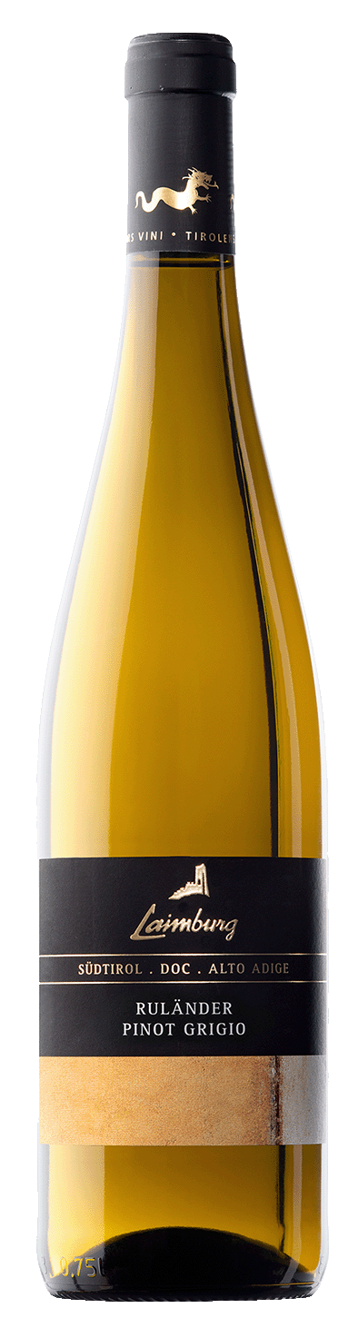 Pinot Grigio 2023 1