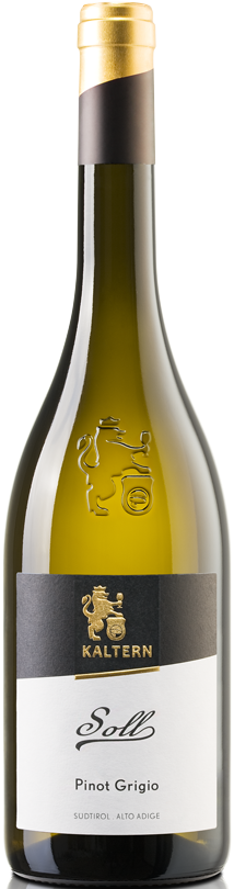 Pinot Grigio "Soll" 2024 1