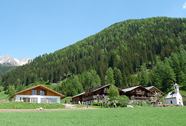 Früchtesenf Hagebutte 3
