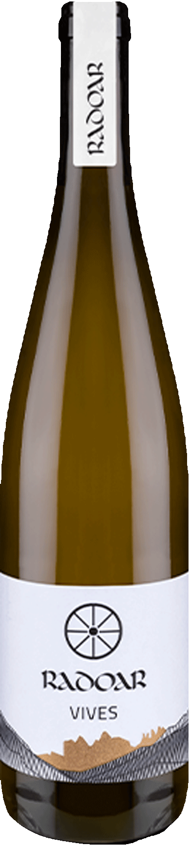 Riesling "Vives" Bio   2020 1