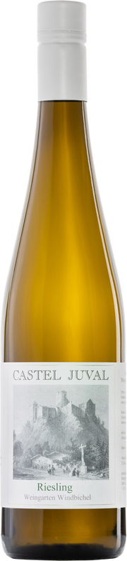 Riesling "Weingarten Windbichel" 2023 1