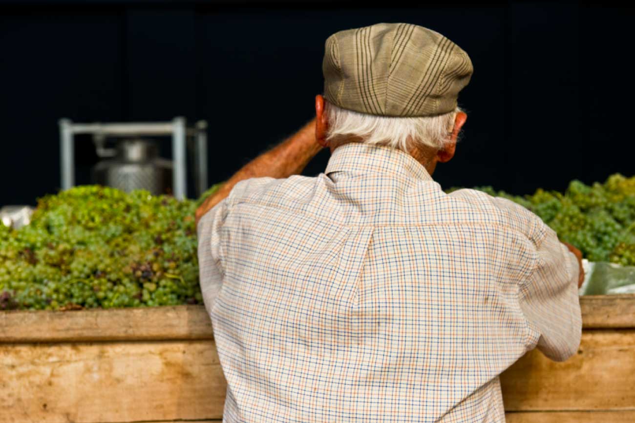 SANTA MARGHERITA SPA 3