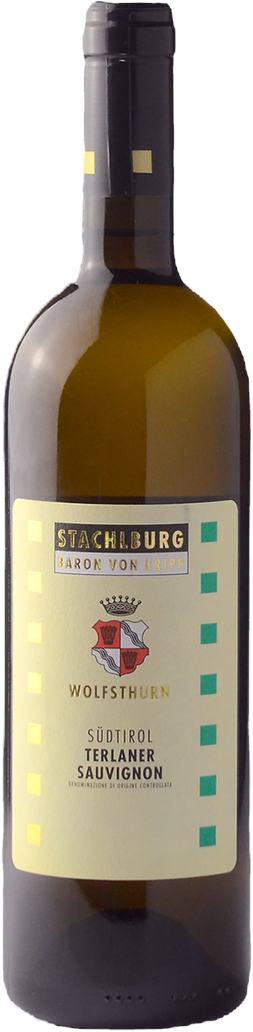 Sauvignon Bio 2024 1