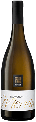 Sauvignon "Mervin" 2020 1