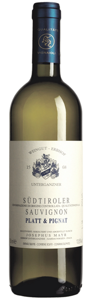 Sauvignon "Platt & Pignat" 2023 1