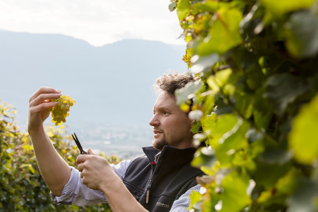 Merlot Lagrein "YHRN" 2023 3