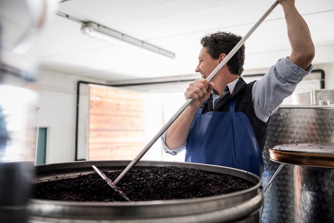 Merlot Lagrein "YHRN" 2023 4