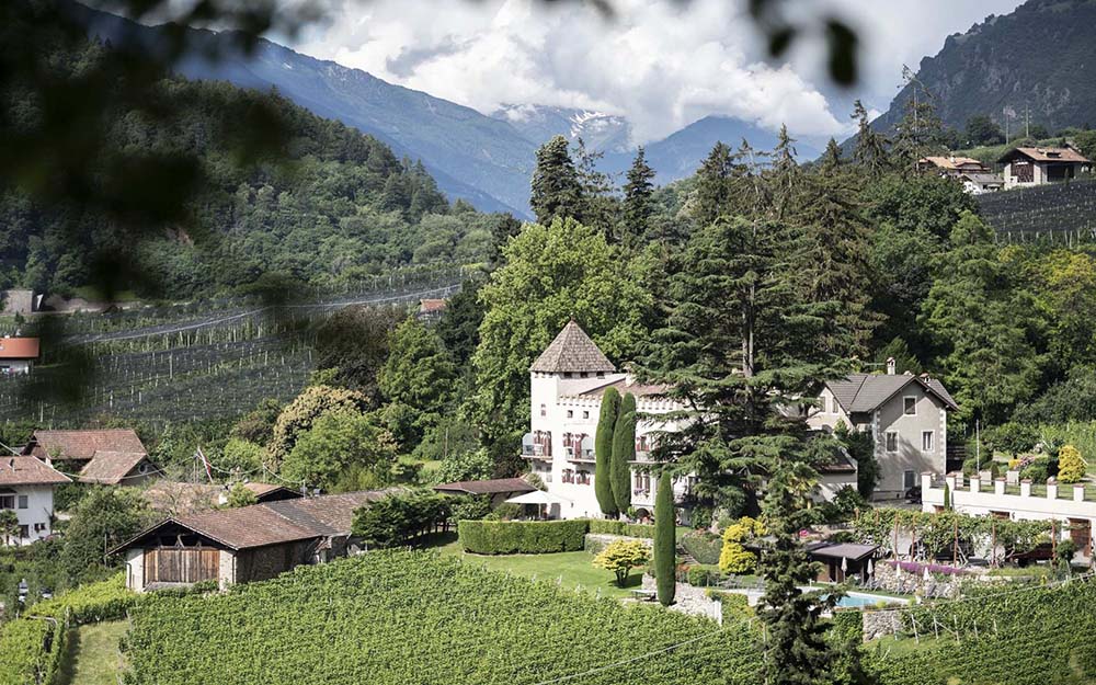 Merlot Lagrein "YHRN" 2023 5