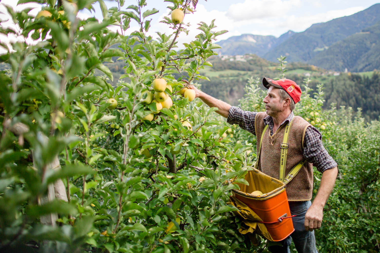 Naturtrüber Apfelsaft 2