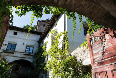 Blauburgunder Grafenau Vinschgau Bio 2023 3