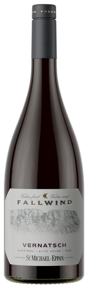 Vernatsch „Fallwind“ 2024 1