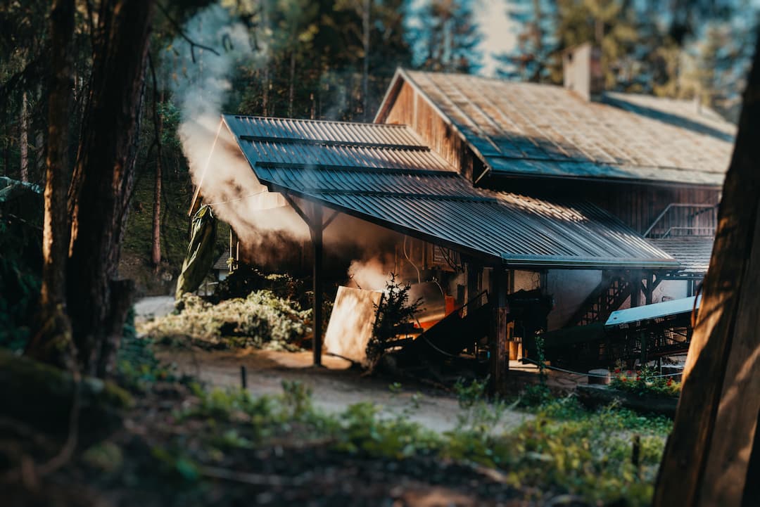 Wacholdersalbe Bio 2